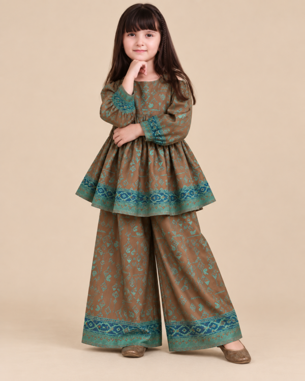 2 Piece - Printed Embroidered Suit