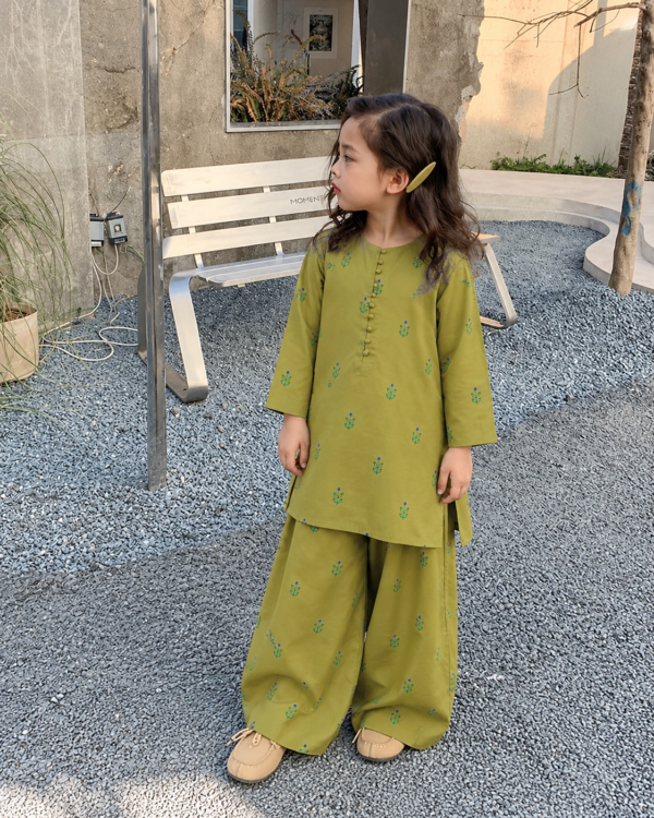 2 Piece - Printed Lawn Suit