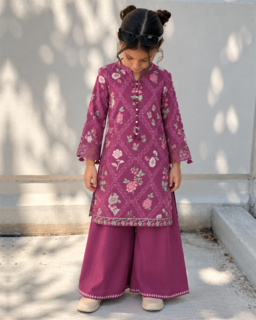 2 Piece – Printed Embroidered Lawn Suit