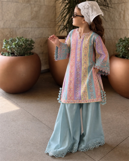 2 Piece – Printed Embroidered Suit