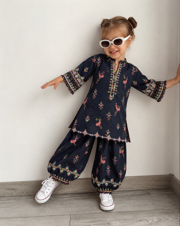 2 Piece – Printed Embroidered Suit