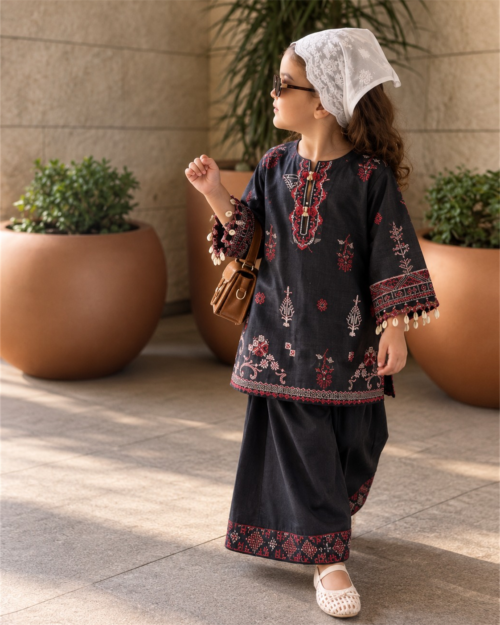 2 Piece – Printed Embroidered Suit